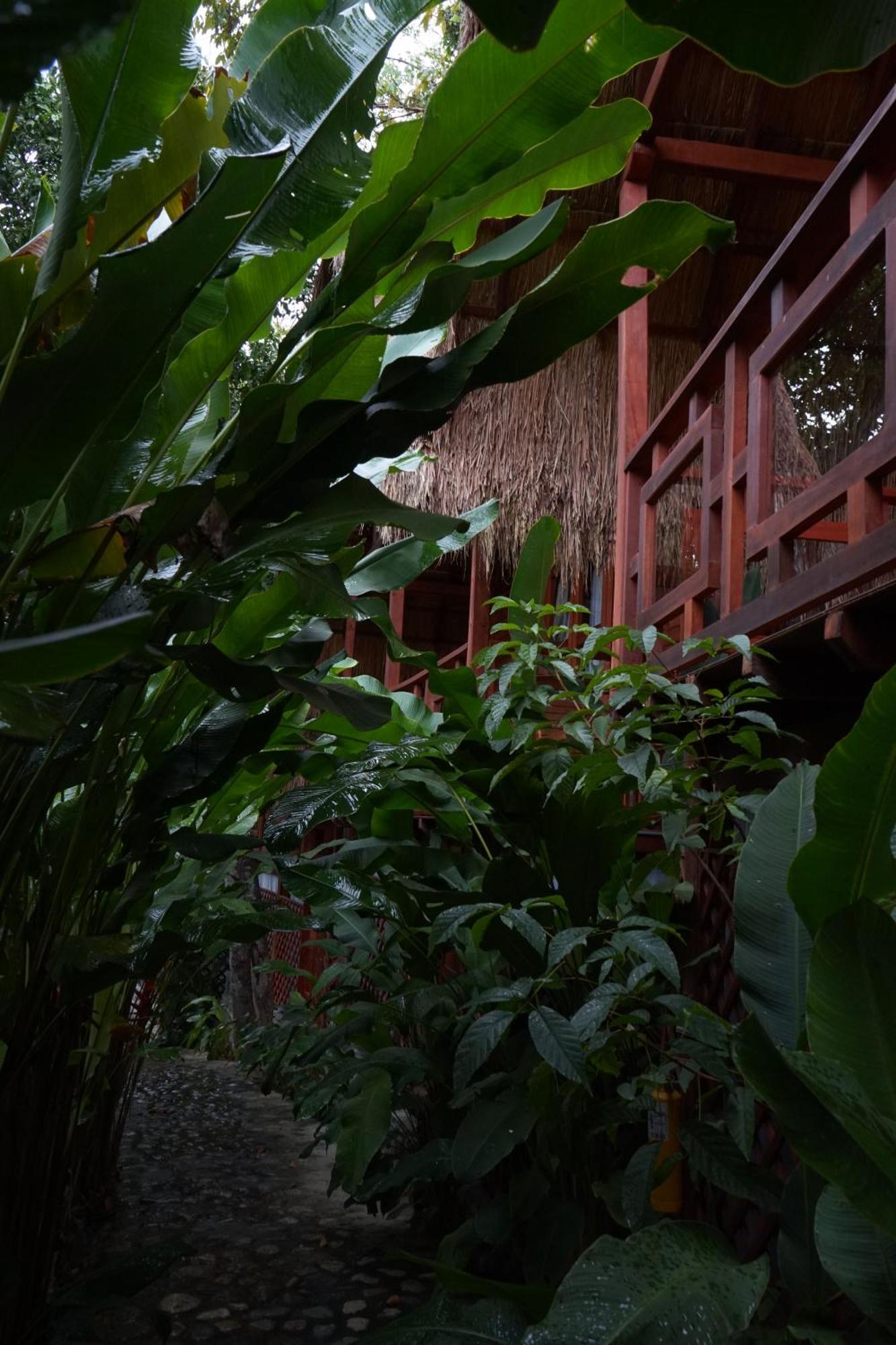 Bio Rio Hotel San Jerónimo Exteriör bild
